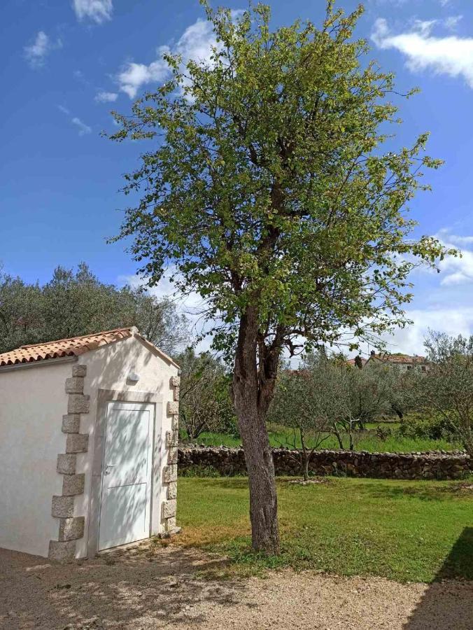 Holiday House Vela Vrta Sveti Ivan Dobrinjski 外观 照片
